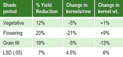 Effect of shade treatments on yield