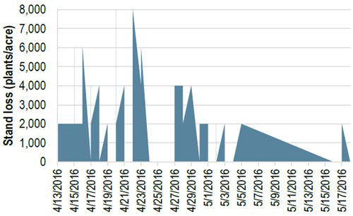 Corn stand reduction (target stand – final stand) by planting date.