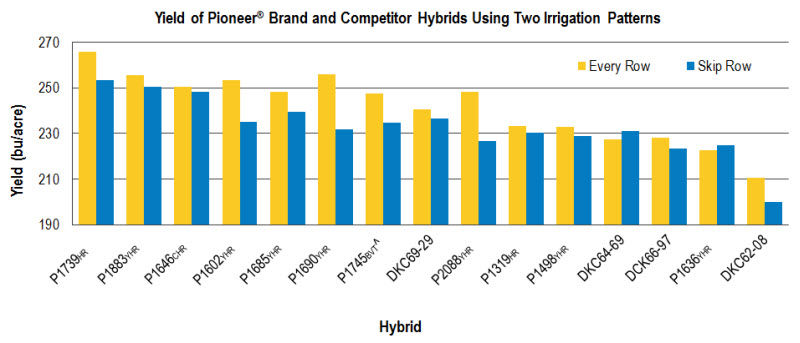 Chart: Yield of Pioneer® Brand and Competitor Hybrids Using Two Irrigation Patterns