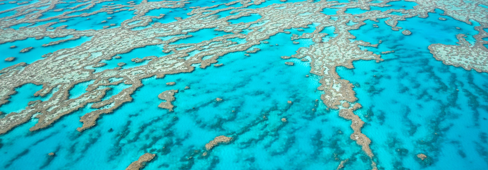 Australia Cruises 2024 2025 New Zealand Cruises Princess Cruises   Great Barrier Reef Australia Aerial View Hero Large