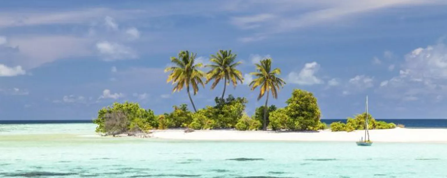 The Island with Bear Grylls survival personalities