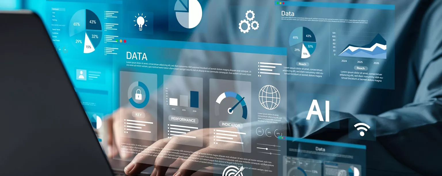 finance systems and a finance team member