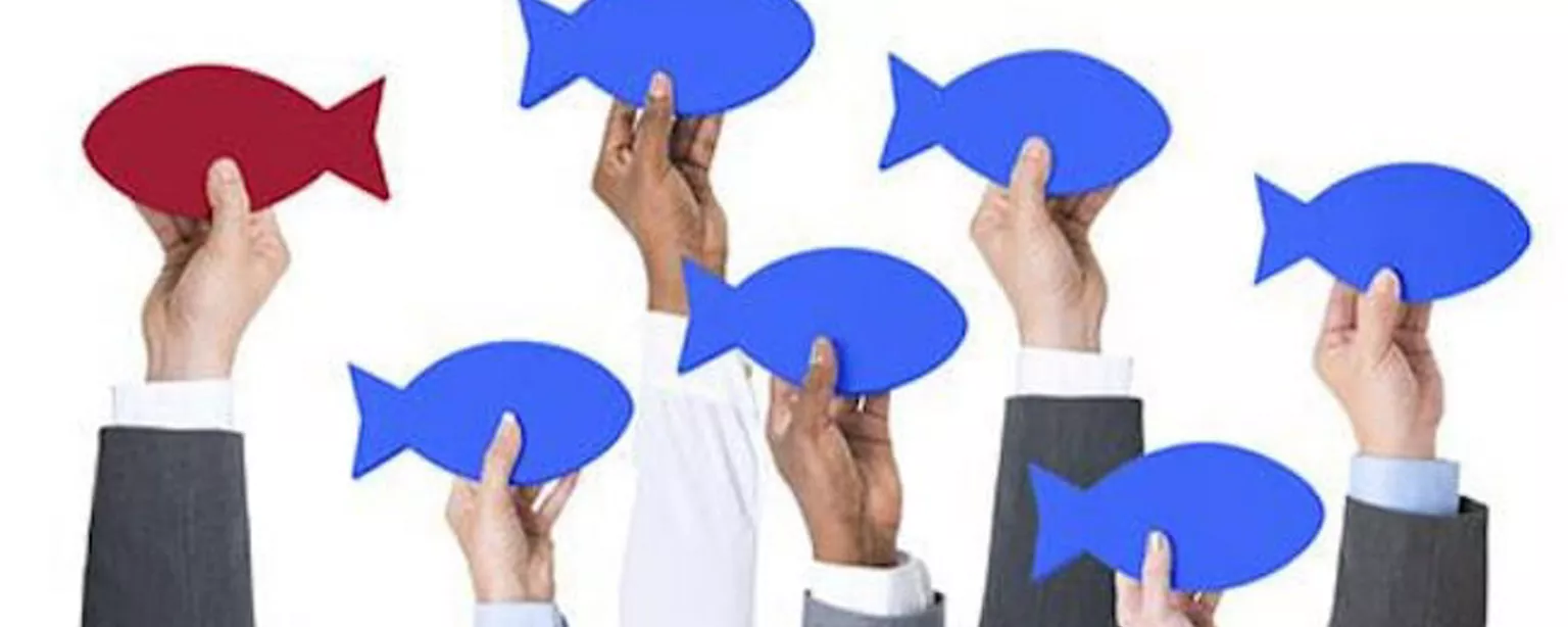 How to Write a Great Administrative Assistant Cover Letter — seven hands hold up cartoon fishes; one is a different color and facing the opposite way as the others