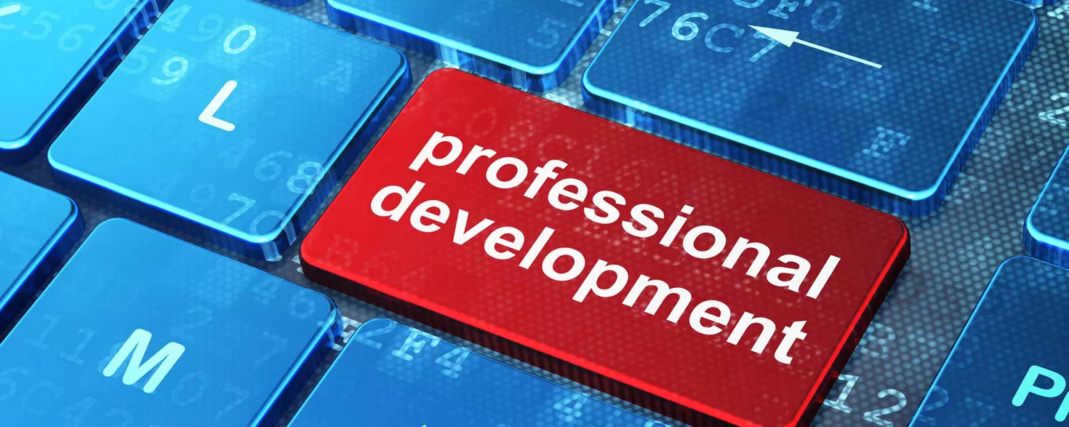 Professional development tips: