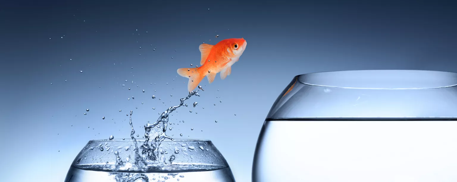Fish jumping from one small bowl to a large bowl to represent change