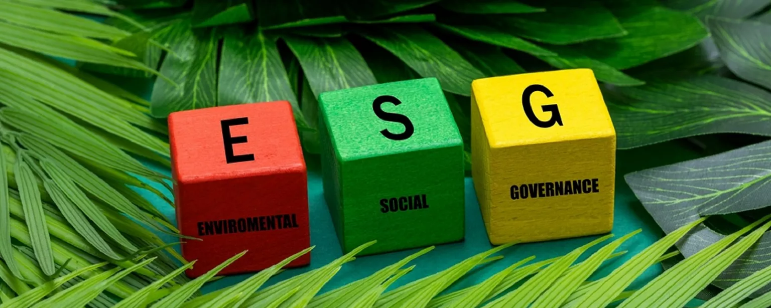 Colorful toy blocks on palm leaves with the letters E, S, and G printed on them.