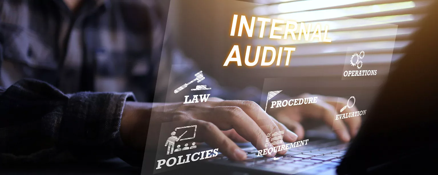 Person sitting at desk with hands on computer. The words internal audit are displayed over hands with other graphics and words.