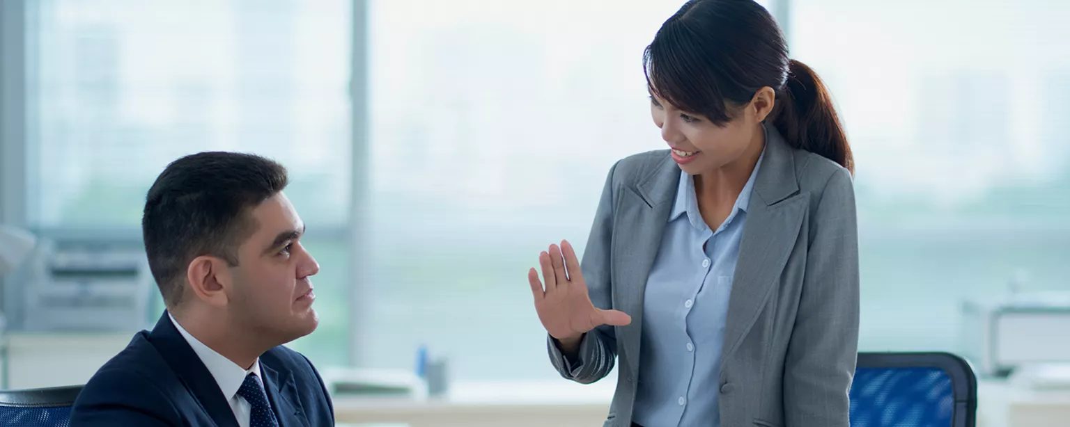 A finance manager explaining a project to a specialized consultant.