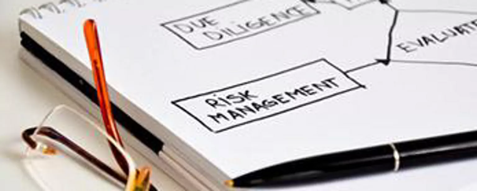 Risk Management Consulting