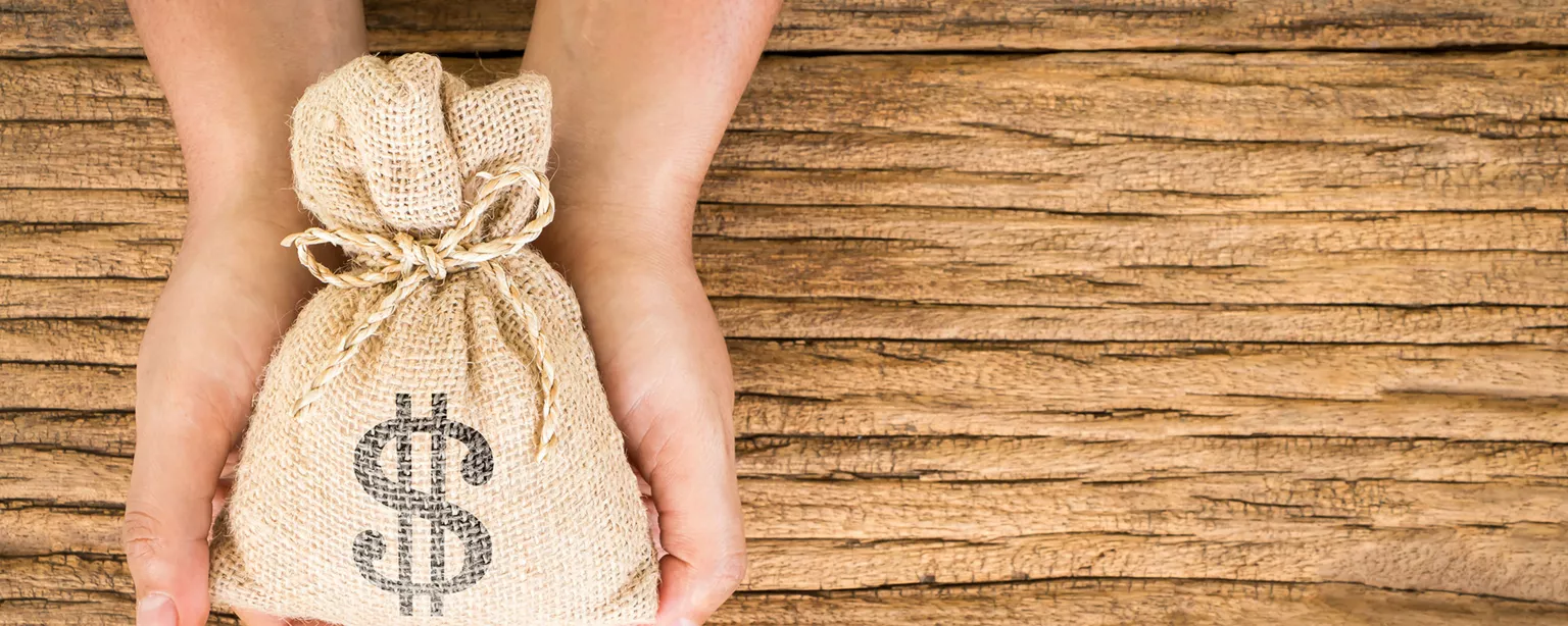 Two hands holding a bag with a dollar sign on it.