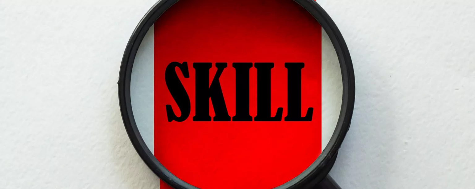 The word "skill" in black lettering on a red vertical strip with a magnifying lens over it.