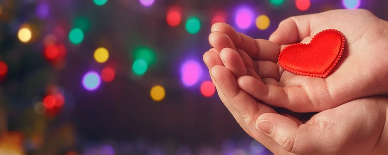 cupped hands hold red felt heart against background of multicolored string lights