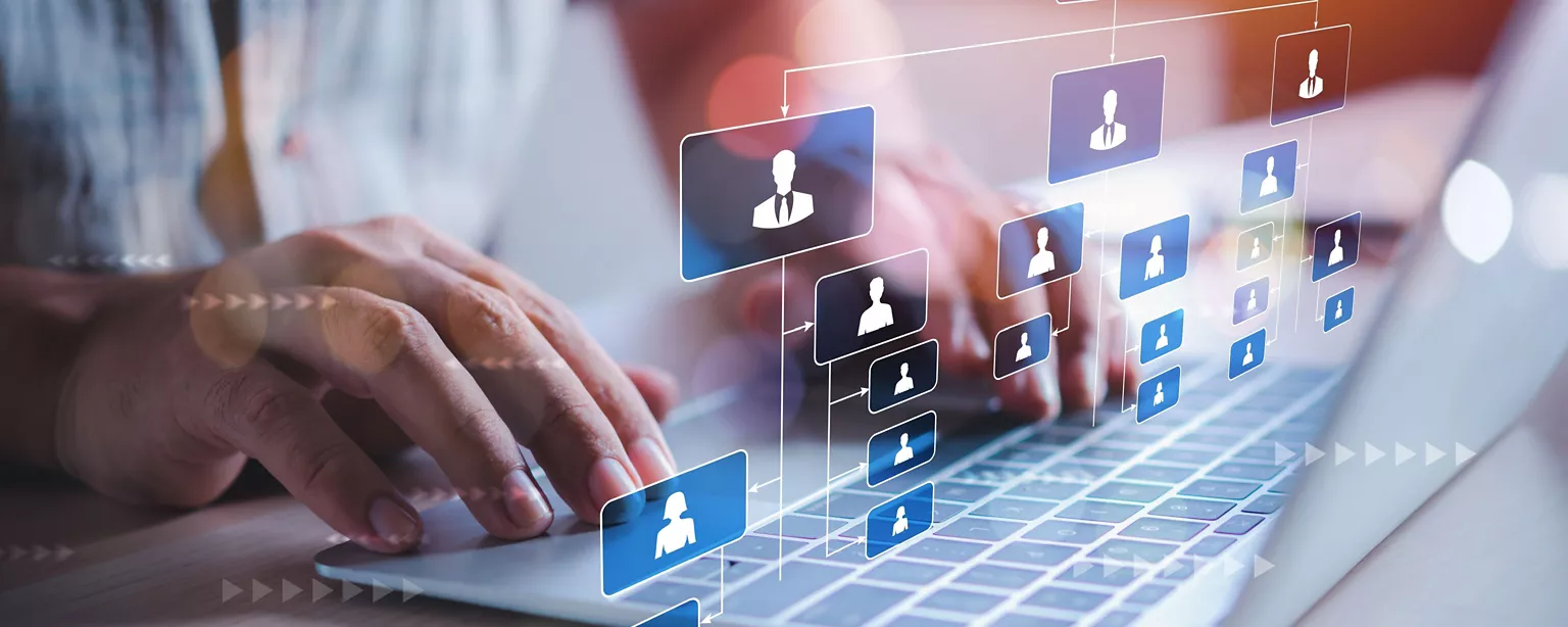 Person types on computer while working on a virtual org chart.