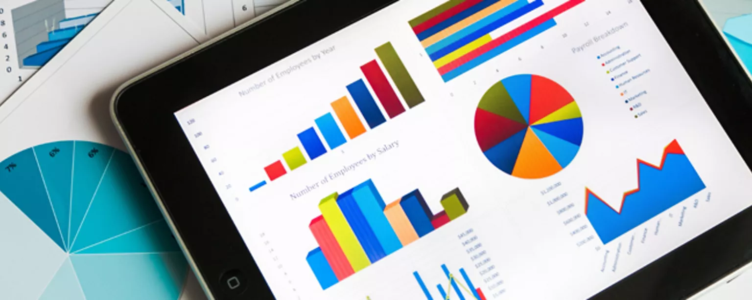 Business Analytics Skills in Accounting 