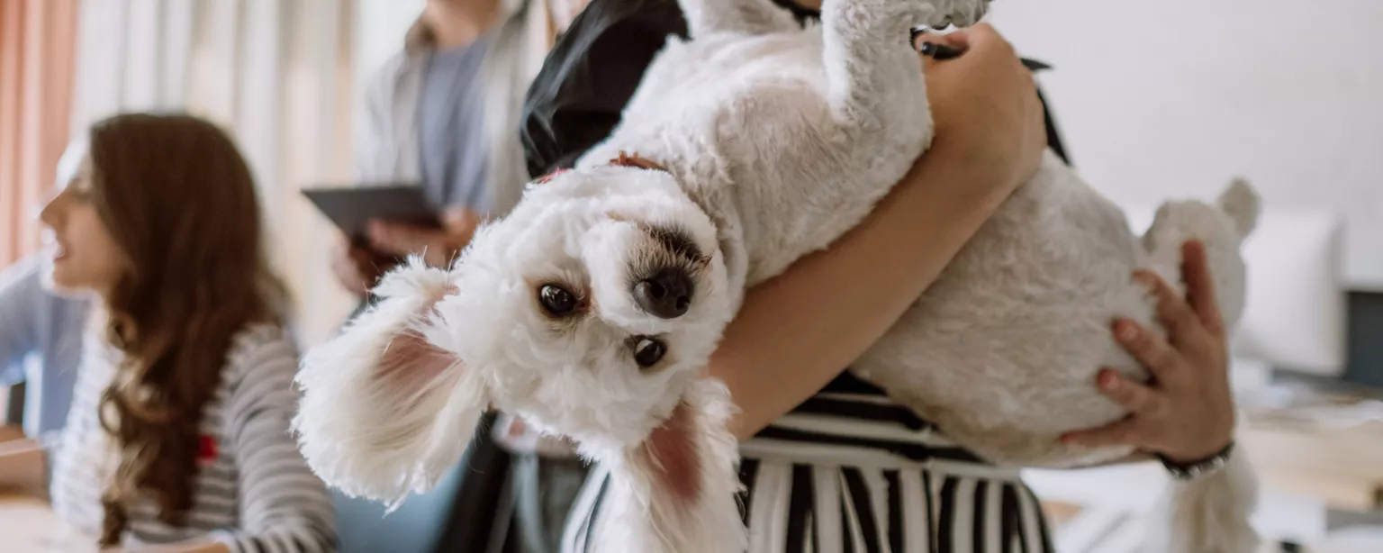 Comportements et savoir-vivre en entreprise,  quelles sont les limites ?  