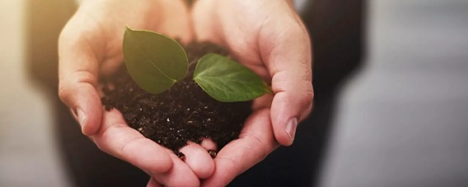 Corporate social responsibility: How to do it right