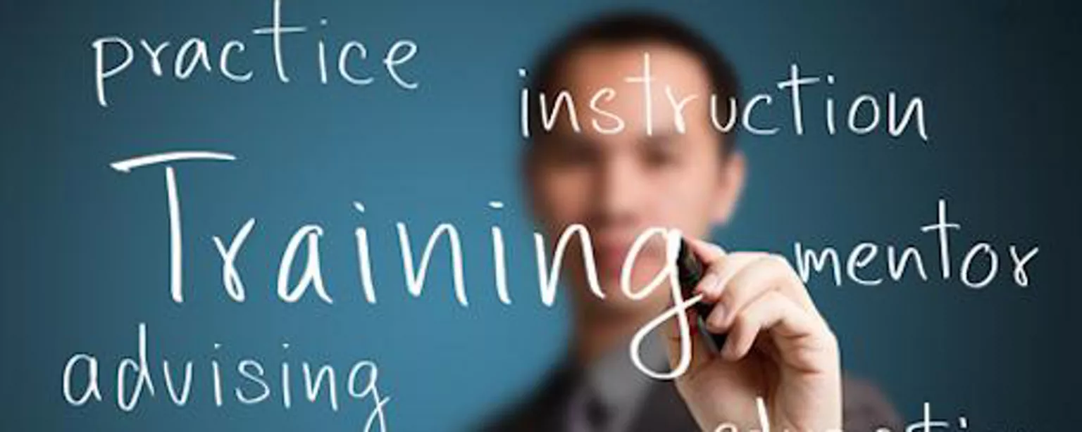 6 Ways to Offer Accounting Job Training at Your Company — Man writing words on a board: training, practice, instruction, mentor, education, workshop, teaching, skill, development, advising