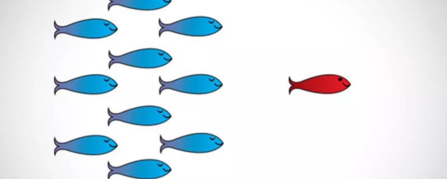 Illustration of a red fish leading a school of blue fish.