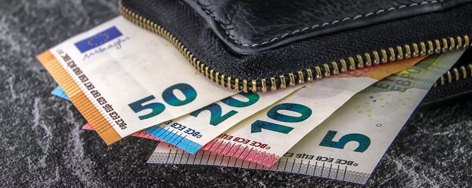 Portefeuille met cash - loon