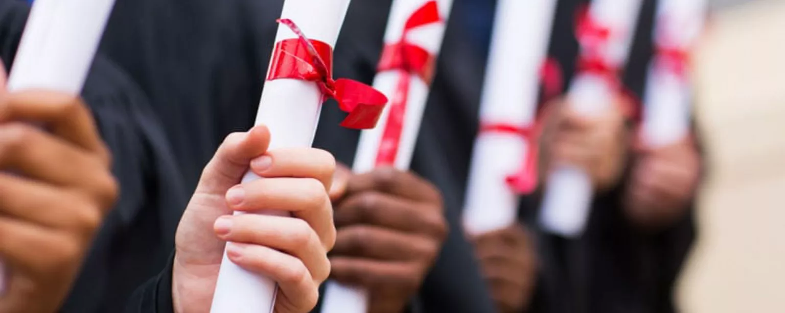 A row of college graduates hold diplomas fastened with red ribbons.