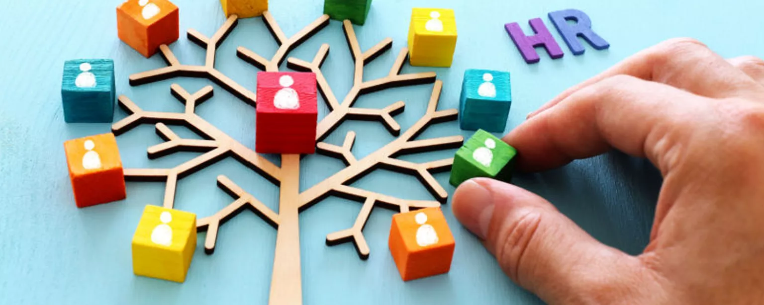 A human hand positions a green block on a small likeness of a tree displaying other colorful blocks on the branches as a representation of people in an organization; the letters "HR" appear at the upper right.
