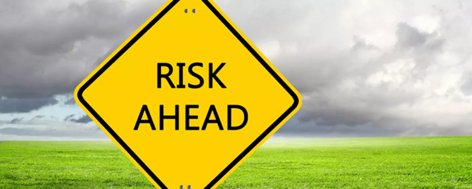 Top Executives Weigh in on Risk Environment