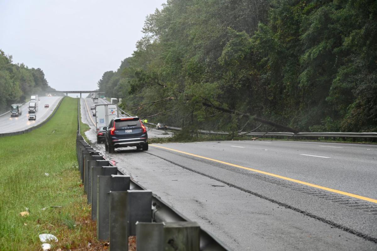 Cars driving around a downed tree on an interstate