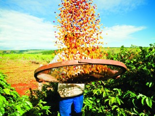 Agro foi destaque nas contratações em junho, diz IBGE 