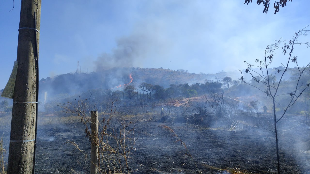 Chamas destruíram uma grande parte do parque