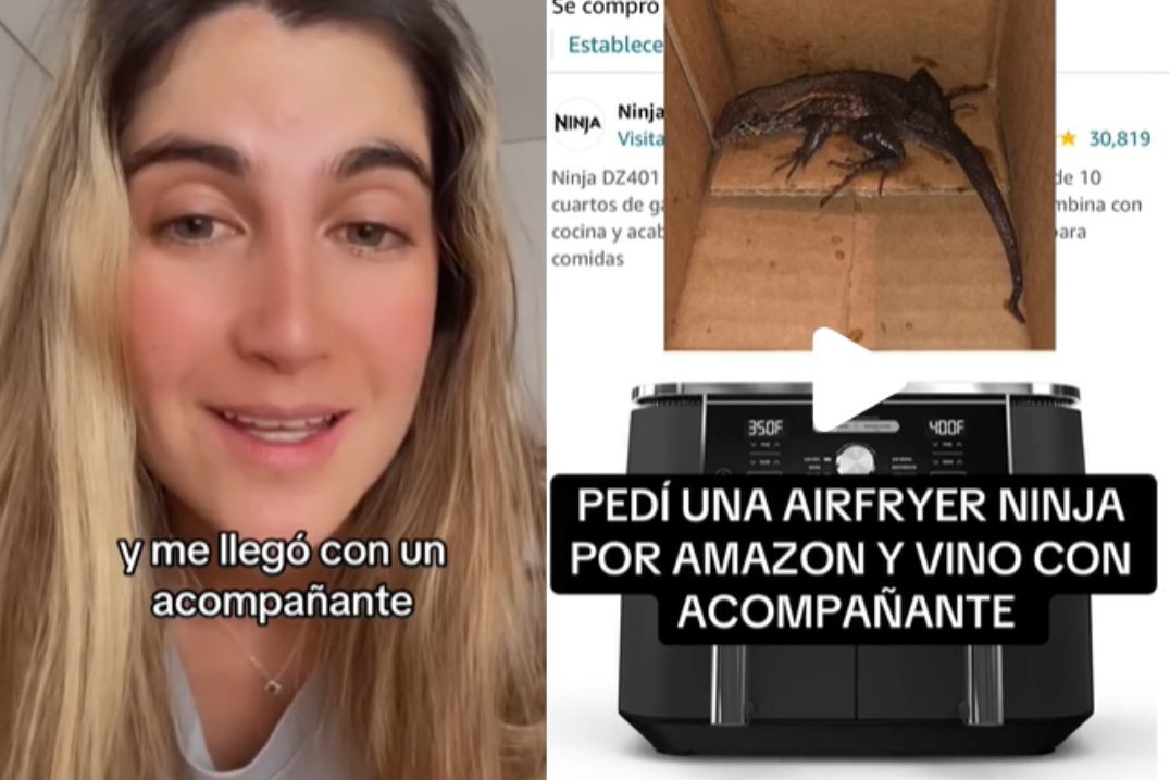 Colombiana encontrou lagarto dentro de caixa com encomenda on-line