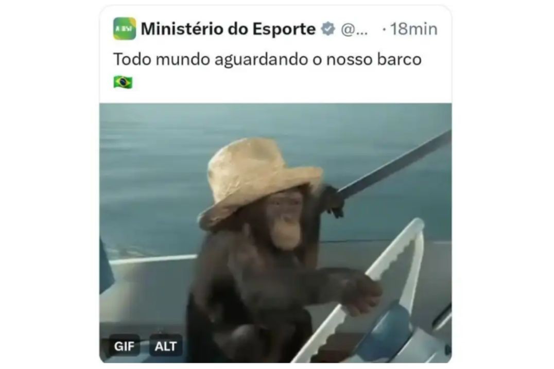 Publicação de macaco dirigindo barco foi considerada racista 