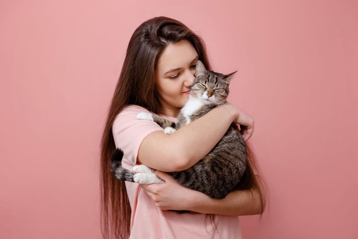 Apesar da reputação de independência, gatos formam laços emocionais com seus tutores e precisam de rotina e companhia para se sentirem seguros