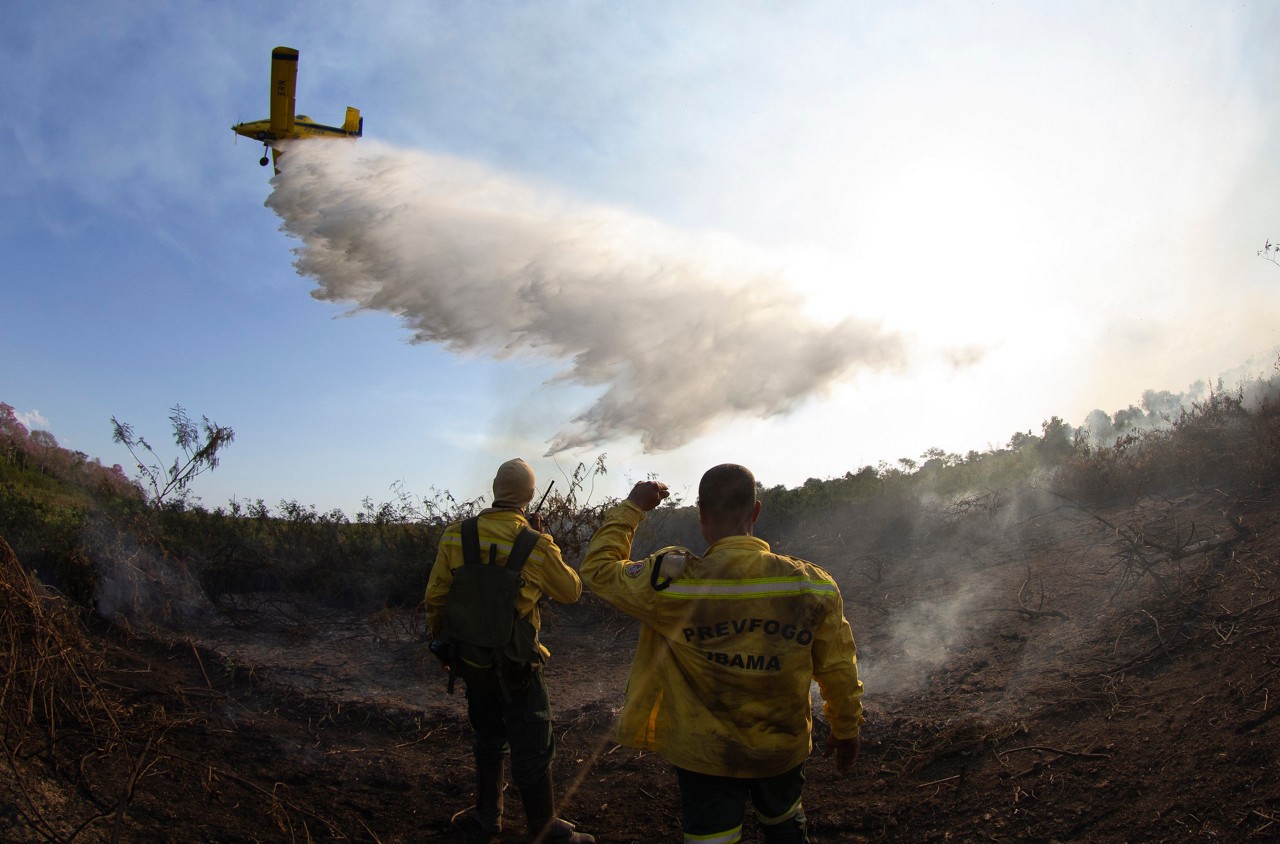 De janeiro até o dia 7 de julho foram queimados 762.875 hectares do Pantanal, o que corresponde a 5,05% do bioma