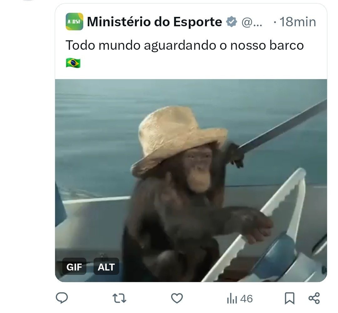 Foto de macaco apagada pela página do Ministério do Esporte