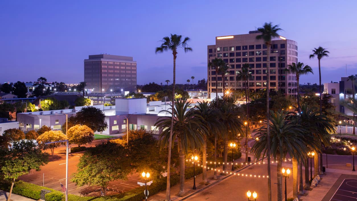 A city at night with palm trees and buildings.