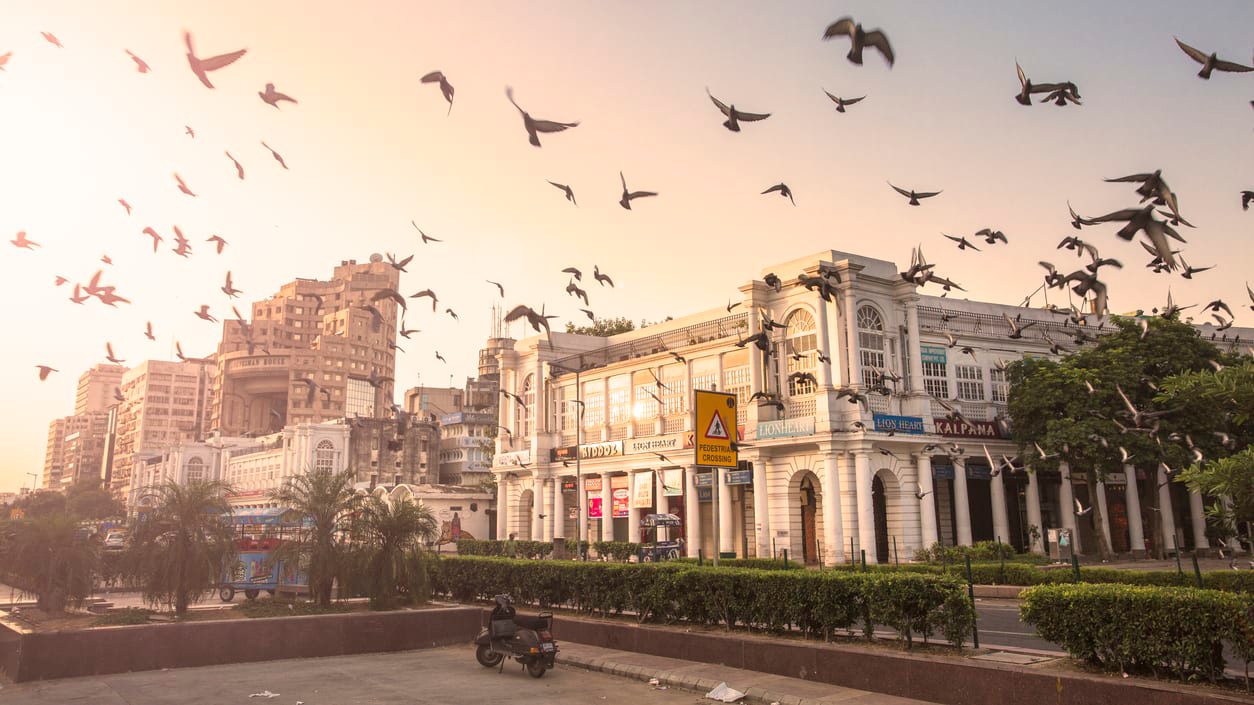 A group of pigeons flying over a city.