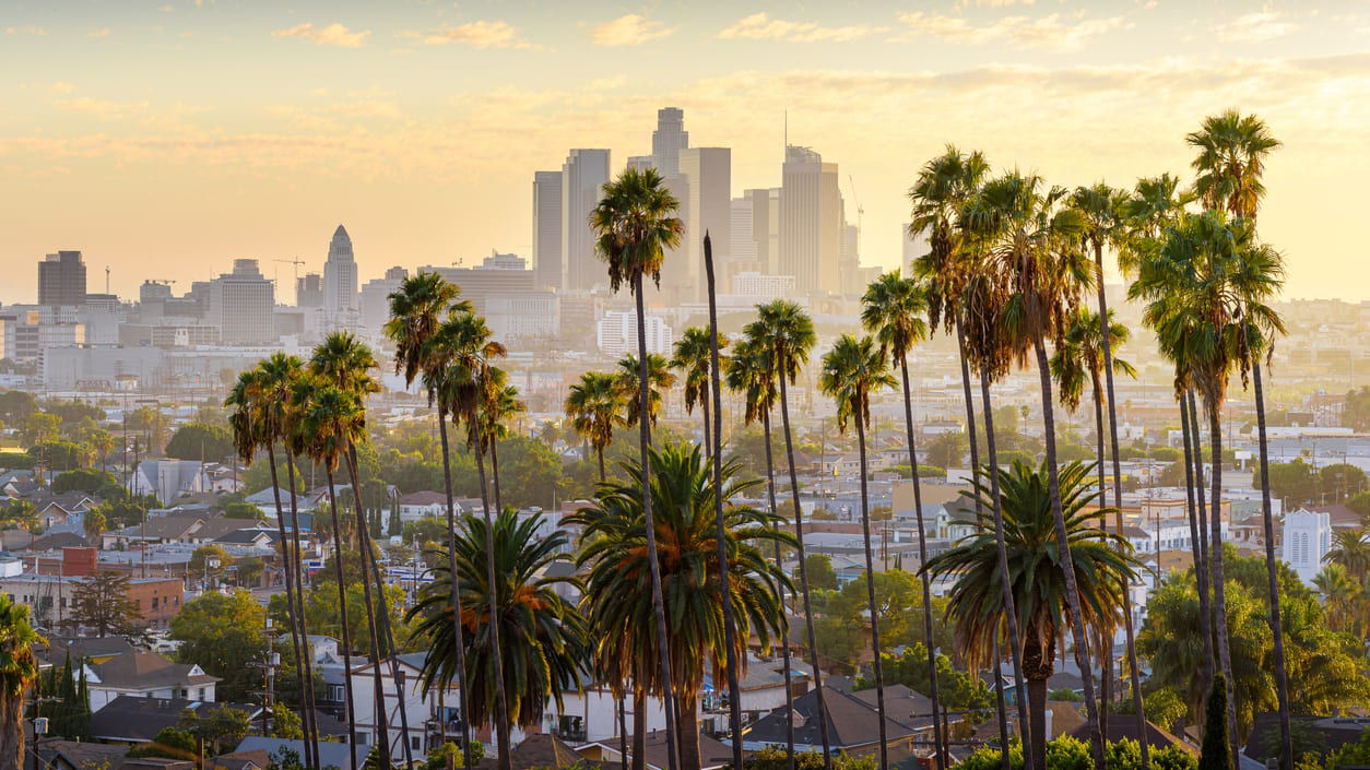 A view of the los angeles skyline with palm trees in the background.