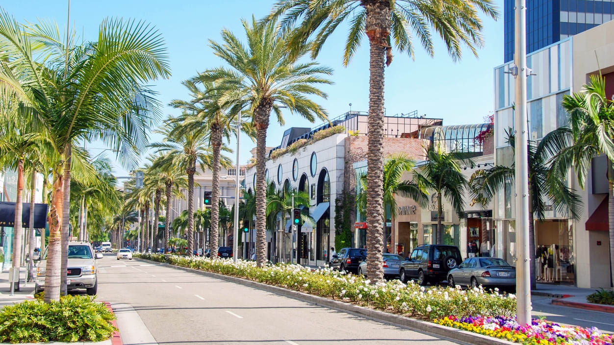 A street lined with palm trees and buildings.