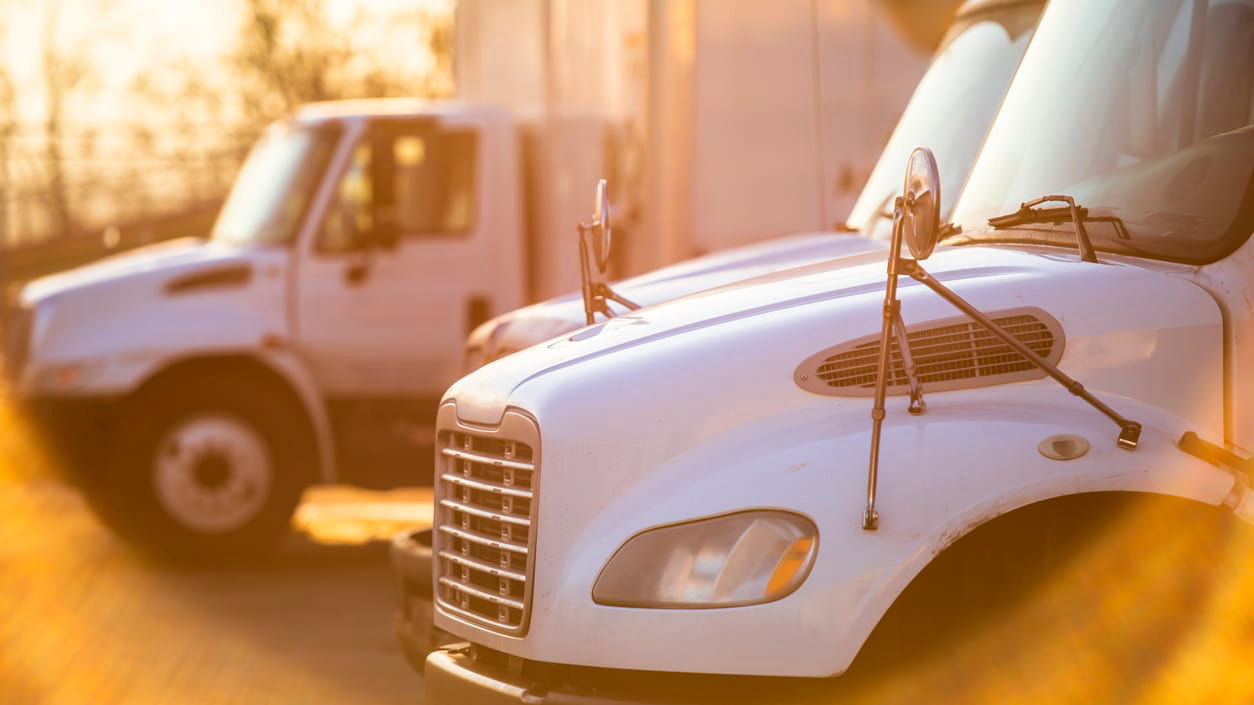 A row of white trucks parked in a parking lot.