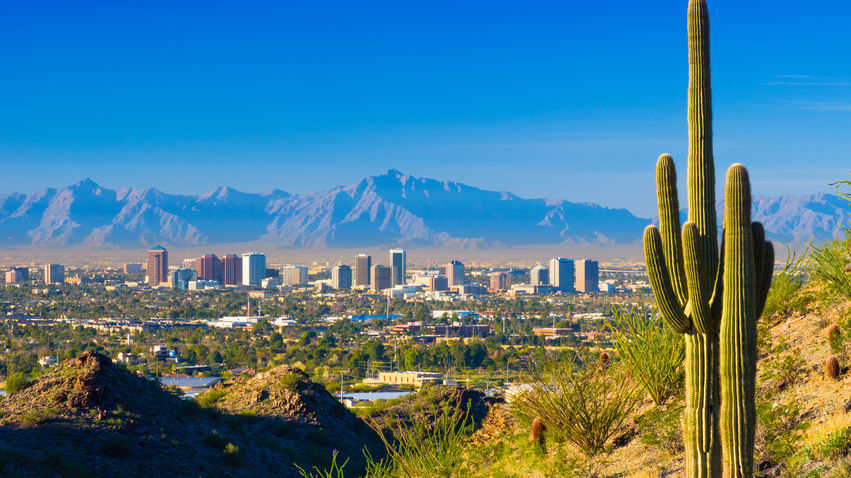 A saguaro cactus in front of the skyline of phoenix, arizona.
