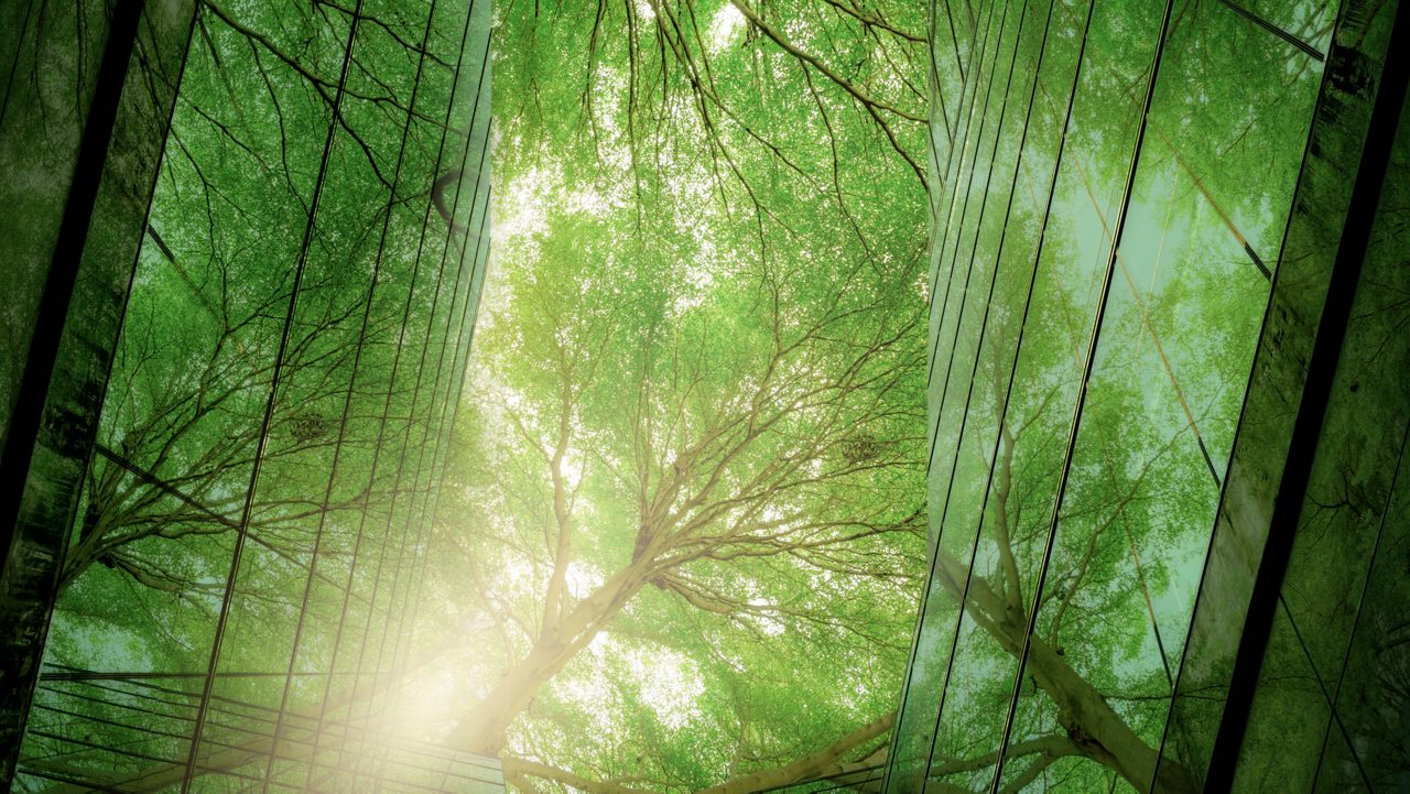 A view of a green forest through a glass wall.