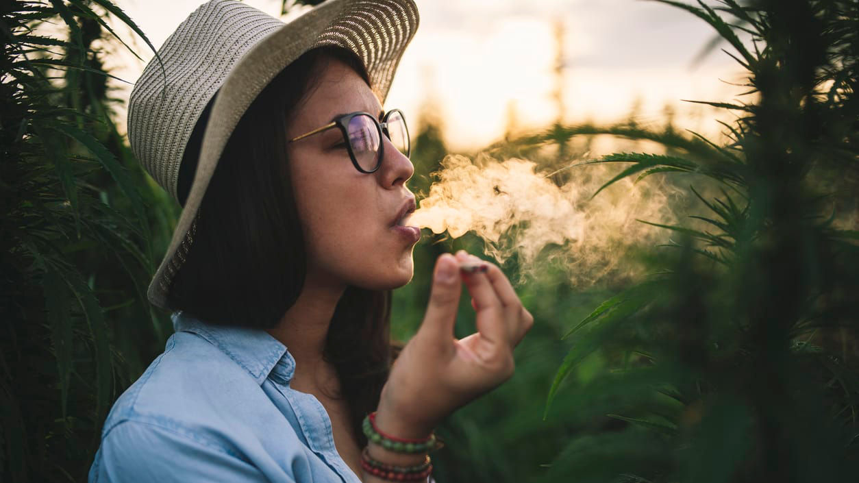 A woman in a hat smokes a cigarette in a cannabis field.
