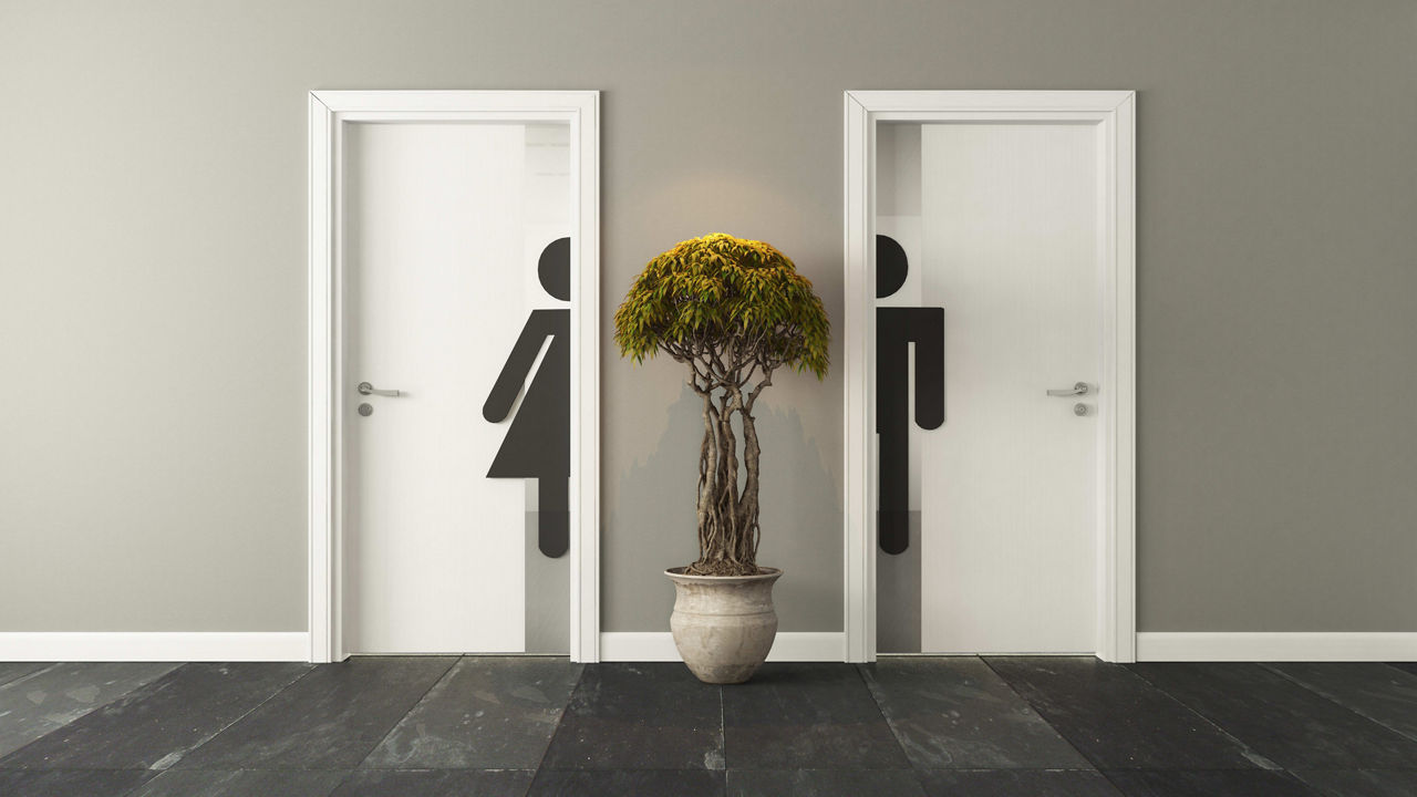 Two toilet doors with a plant in front of them.