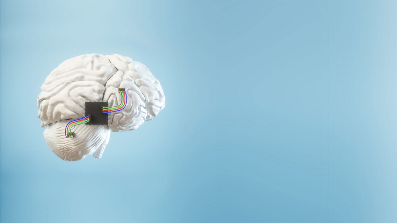 A 3d model of a human brain with a wire connected to it.