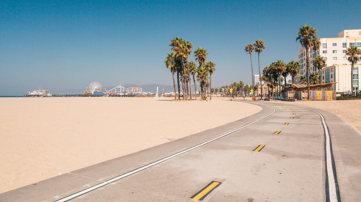 A sidewalk with palm trees and a beach in the background.