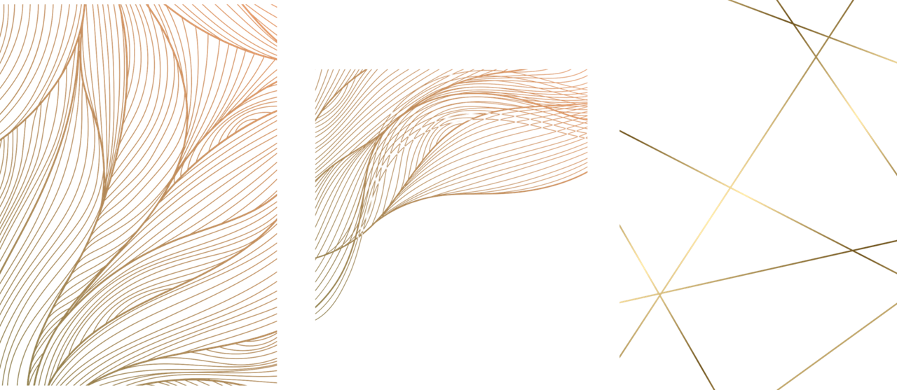 CEO Academy Graphic elements 