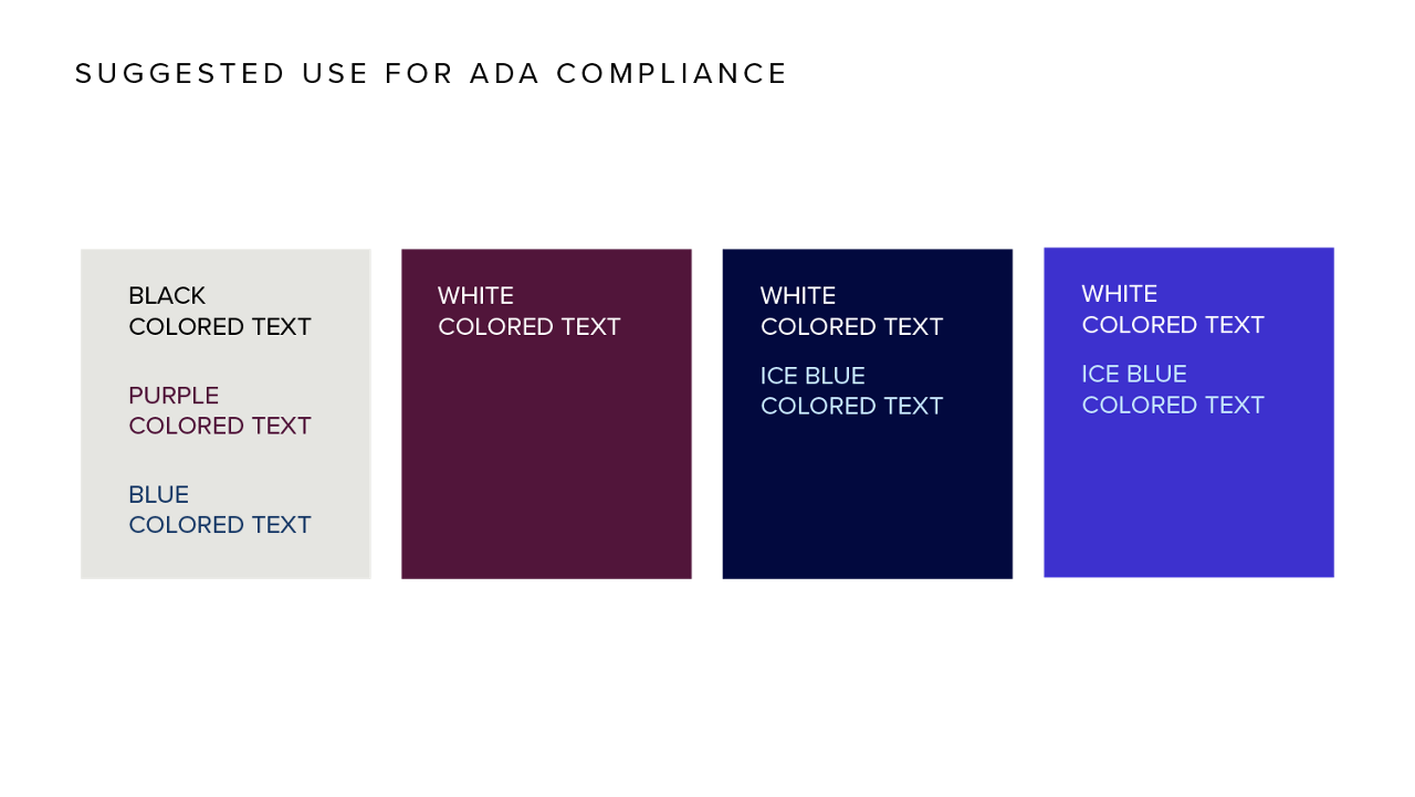 CEO Academy Color Palette ada compliance