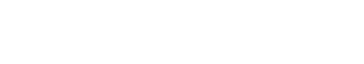 CEO Action Logo