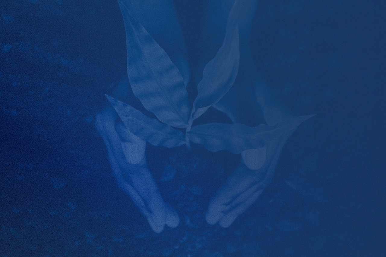image for Building the Leader Within