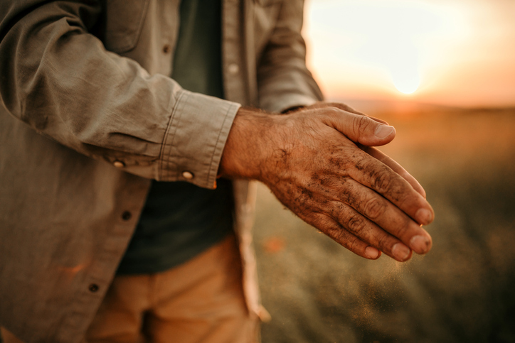 Farmer holding grain in sunset